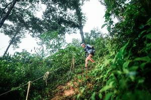 BIB: 
                            <button type="button" onclick="openModal(26201620)" class="btn btn-primary btn-sm float-right btn-popup" data-toggle="modal" data-target=".modal-high-quality">
                        <i class="fas fa-shopping-cart"></i> Add to Cart
                    </button>
                                            <button type="button" onclick="isThisMe(26201620, true)" class="btn btn-success btn-sm float-right btn-popup btn-isme hidden" data-toggle="tooltip" data-placement="bottom" title="นี่คือรูปของคุณใช่ไหม คลิกที่นี่เพื่อเอาเข้าอัลบั้ม">
                        <i class="fas fa-plus"></i> Add to album
                    </button>
                    <button type="button" onclick="isThisMe(26201620, false)" class="btn btn-warning btn-sm float-right btn-popup btn-isnotme hidden">
                        <i class="fas fa-ban"></i> Remove from album
                    </button>